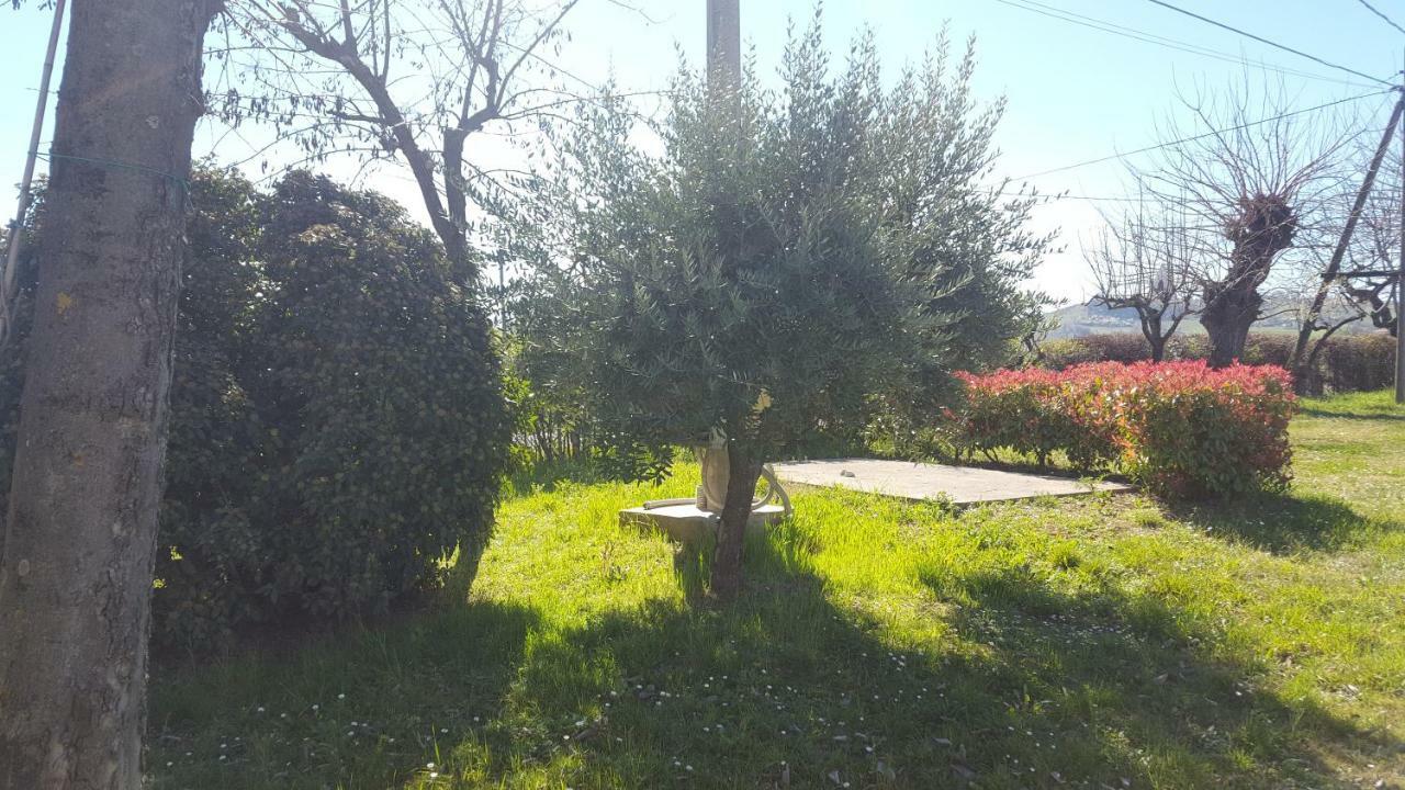 Villa Casa Selene Rocchi Savignano sul Panaro Exterior foto